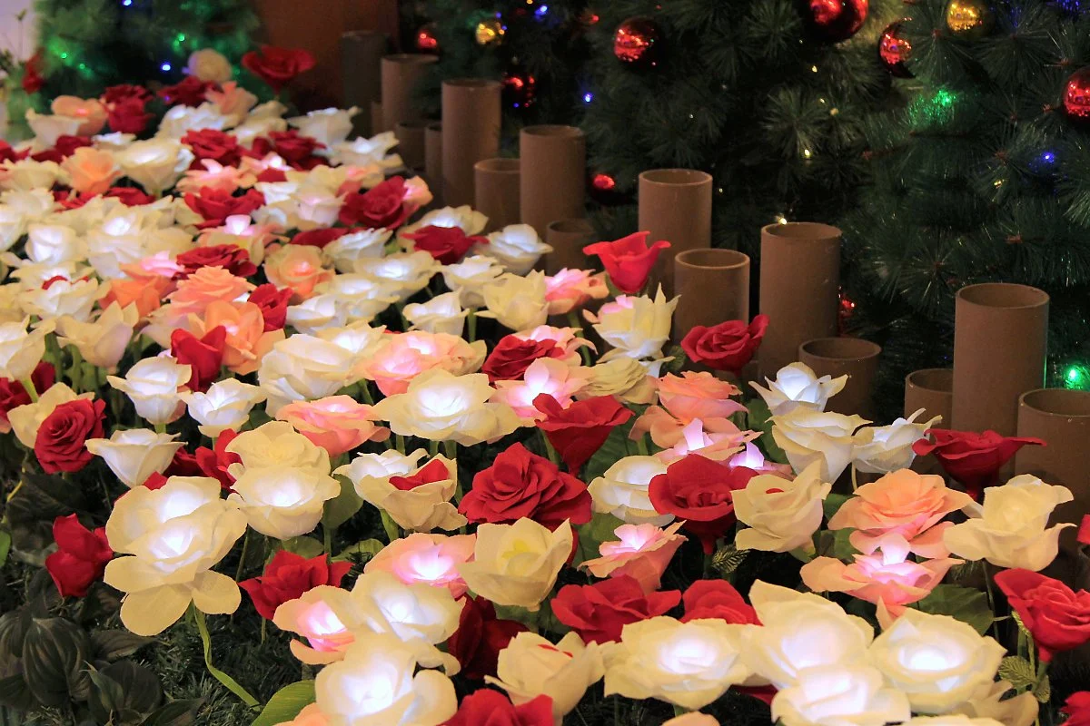 02%EC%A1%B0%EB%AA%85%EB%B0%95%EB%AC%BC%EA%B4%80_%283%29.JPG?type=w1200