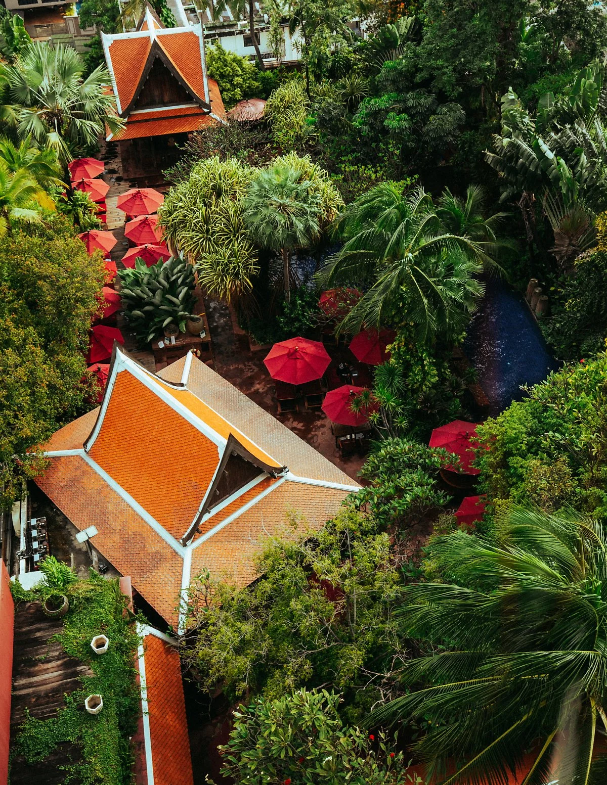 %EC%89%90%EB%9D%BC%ED%86%A4_%2813%29.jpg?type=w1200