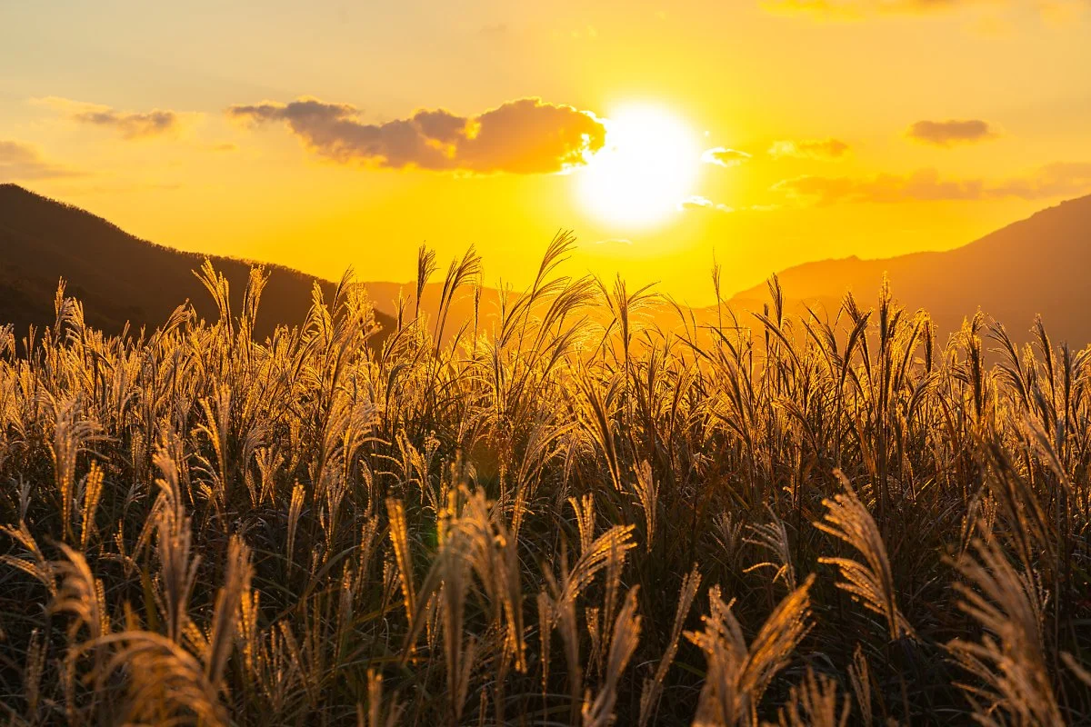 %EA%B0%84%EC%9B%94%EC%9E%AC_009.jpg?type=w1200