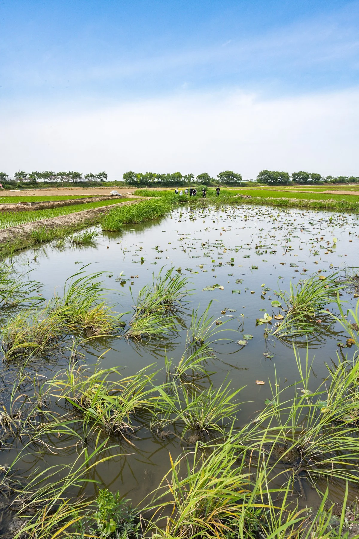 %EB%91%A0%EB%B2%99%ED%83%90%EC%82%AC_%283%29.jpg?type=w1200