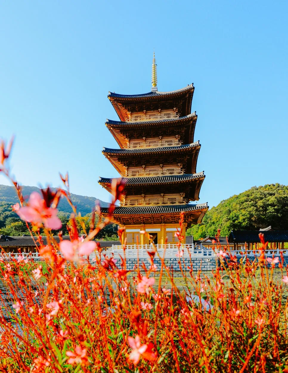 %EC%82%AC%EB%AA%85%EB%8C%80%EC%82%AC%EA%B3%B5%EC%9B%90_(5).jpg?type=w966