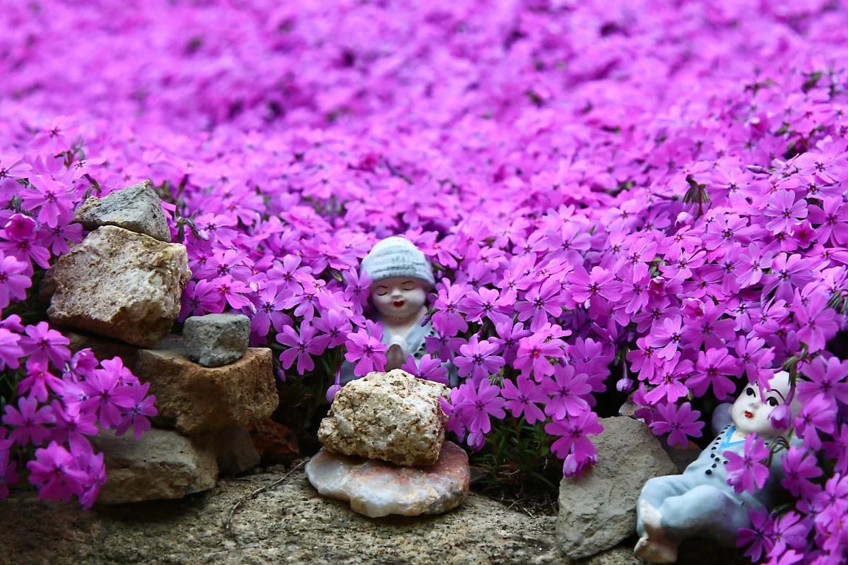 %EC%B2%AD%ED%8F%89%EC%82%AC_%283%29.jpg?type=w1200