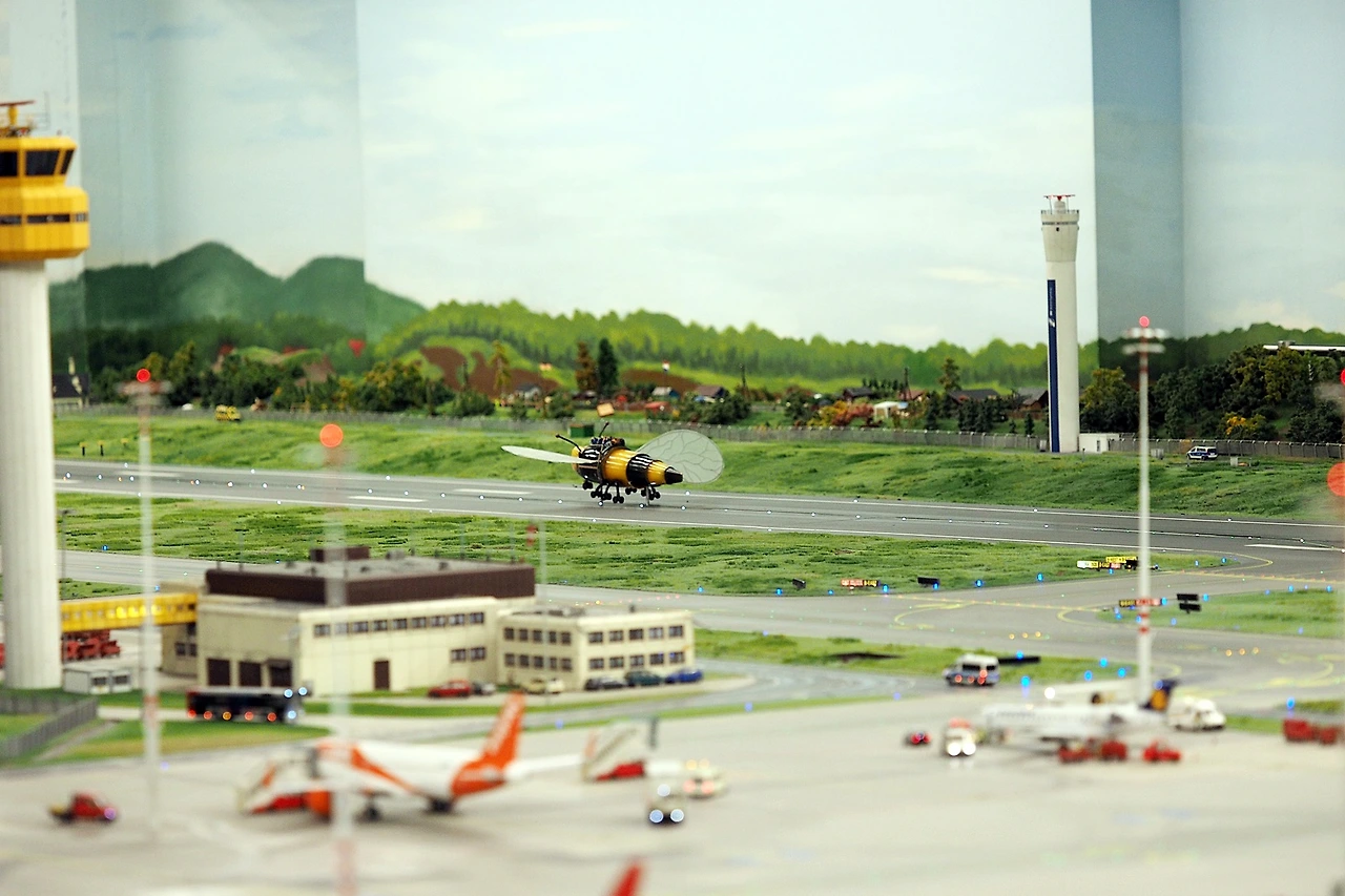 섹션_공항3_벌 비행.JPG