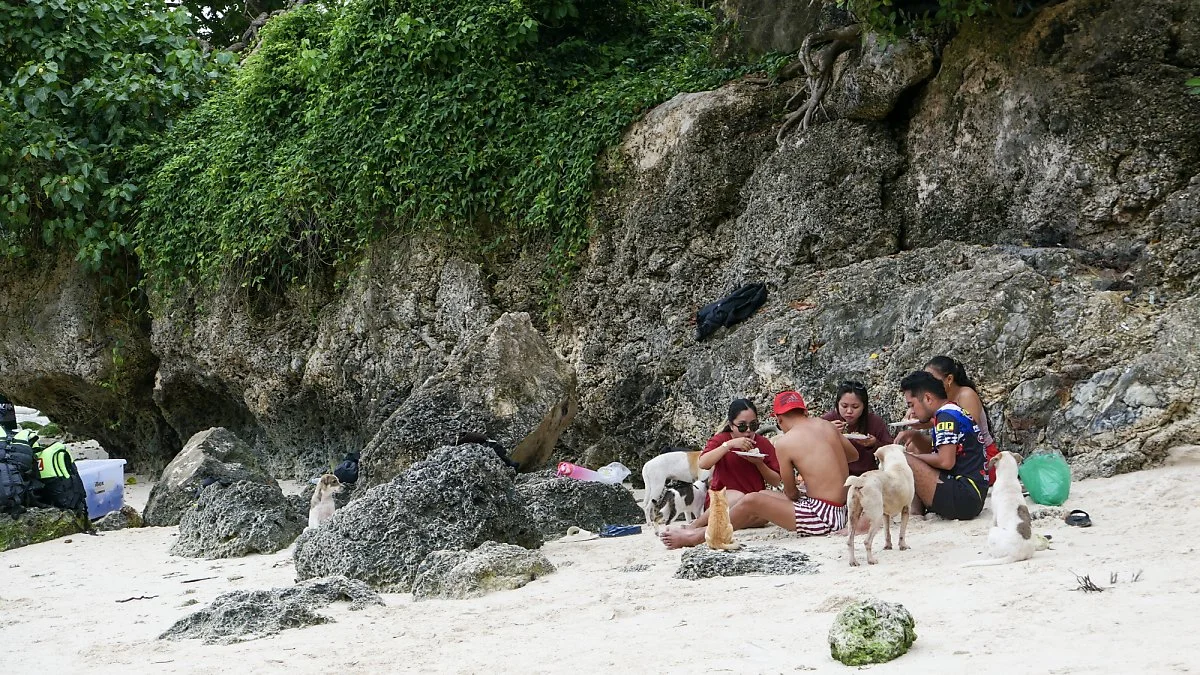 %EB%8F%84%EB%B9%84%EB%9D%BC_%ED%9B%84%EB%B3%B4_%284%29.jpg?type=w1200