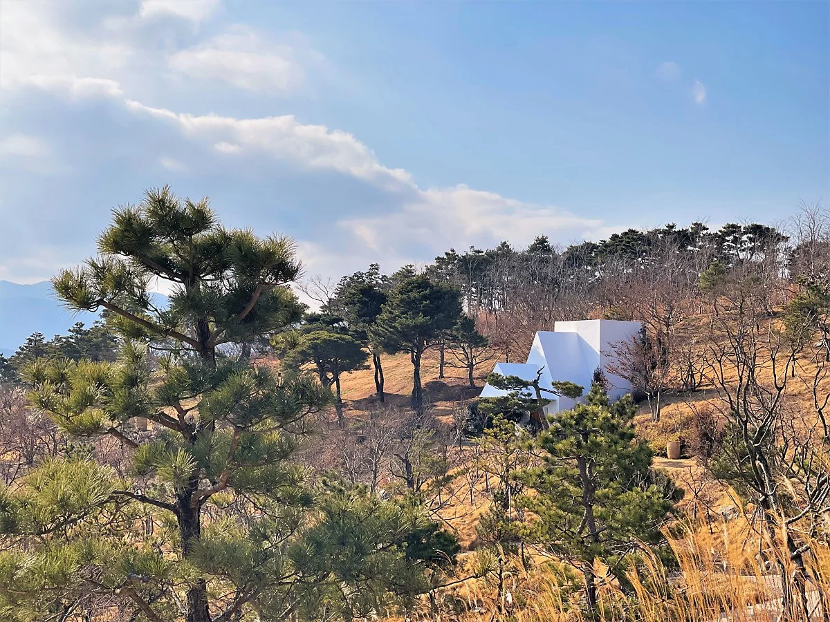 %EC%82%AC%EC%9C%A0%EC%9B%90_-_%EB%82%B4%EC%8B%AC%EB%82%99%EC%9B%90.JPG?type=w1200