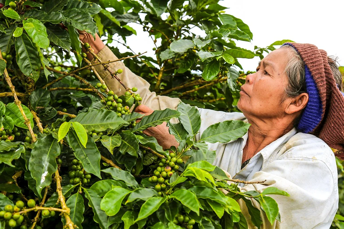 %ED%8C%8D%EC%84%B8_%EC%BB%A4%ED%94%BC_%EC%88%98%ED%99%95.jpg?type=w1200