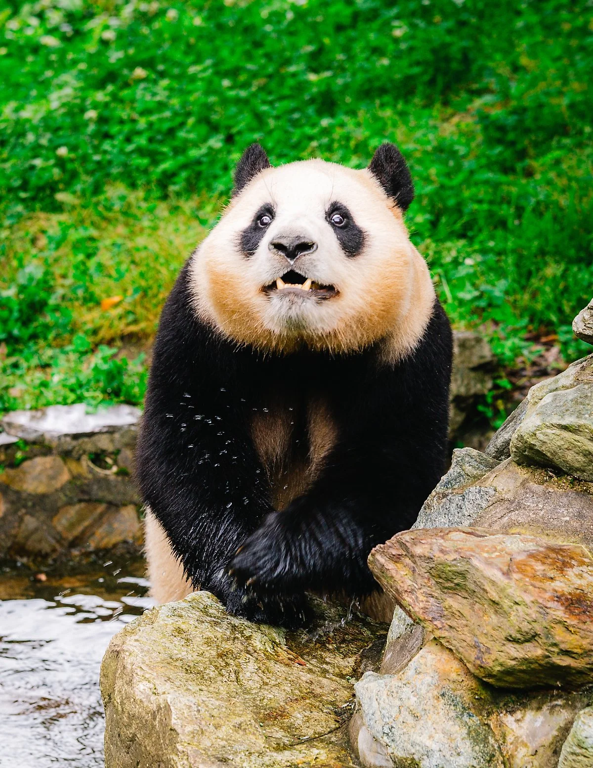 %ED%91%B8%EB%B0%94%EC%98%A4.jpg?type=w1200