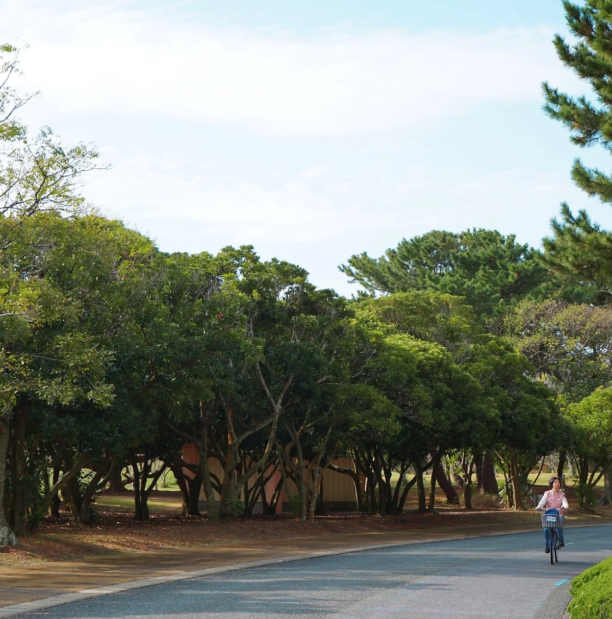 image_4268456661672289021898.jpg?type=w1200