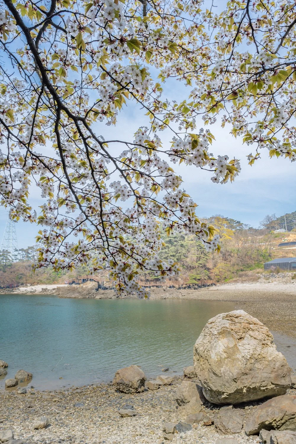 %EB%B4%84%EA%BD%83.jpg?type=w1200