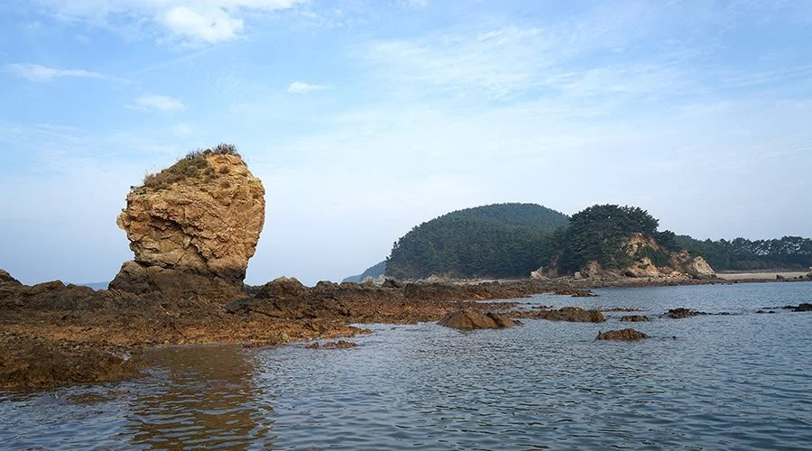 %EB%B3%B4%EB%A0%B9_%EA%B3%A0%EB%8C%80%EB%8F%84_%28c%29_%EB%B3%B4%EB%A0%B9%EC%8B%9C_%282%29.jpg?type=w1200