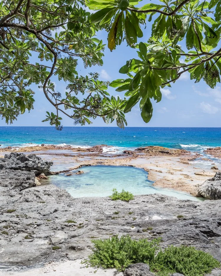 %EC%82%AC%EC%9D%B4%ED%8C%90_Rota_5.jpg?type=w1200