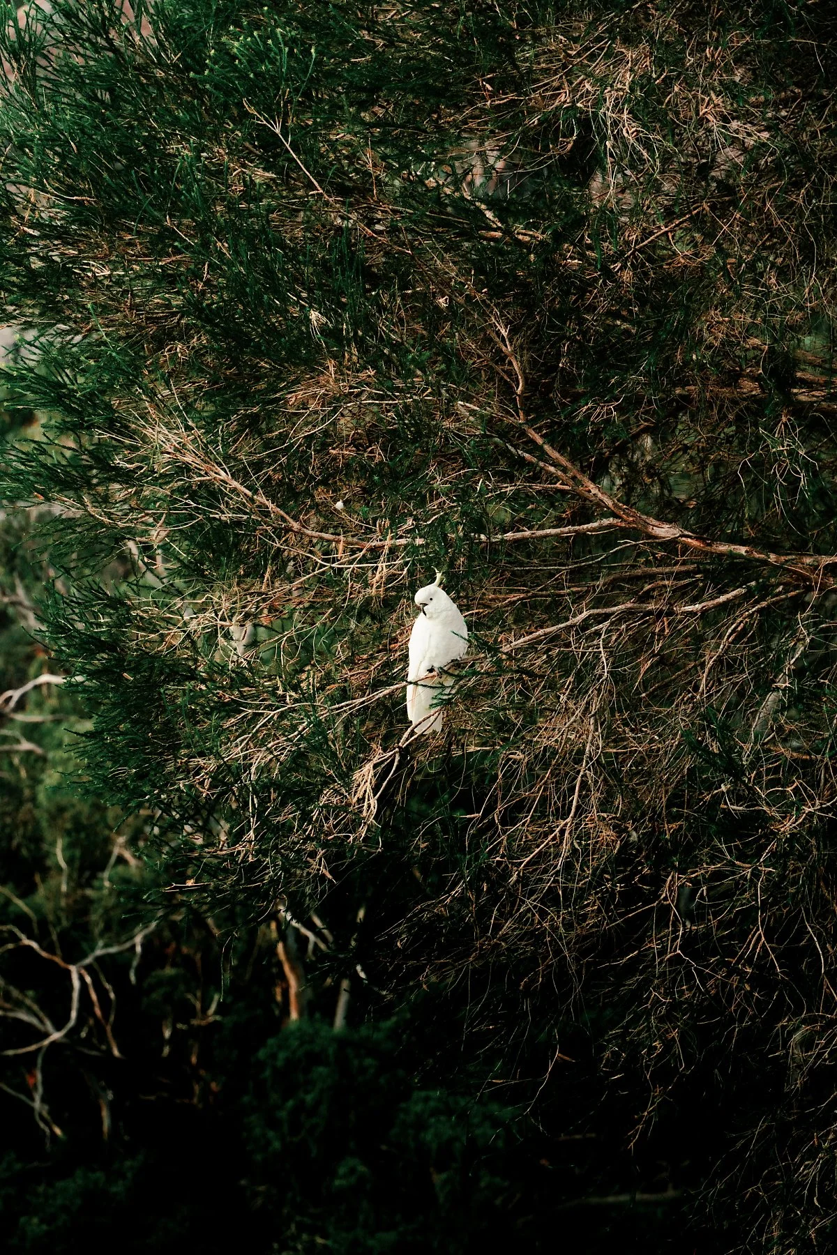 %ED%95%A0%EC%8A%A4_%EA%B0%91_%ED%88%AC%EC%96%B4%EB%A6%AC%EC%8A%A4%ED%8A%B8_%ED%8C%8C%ED%81%AC_%284%29.jpg?type=w1200