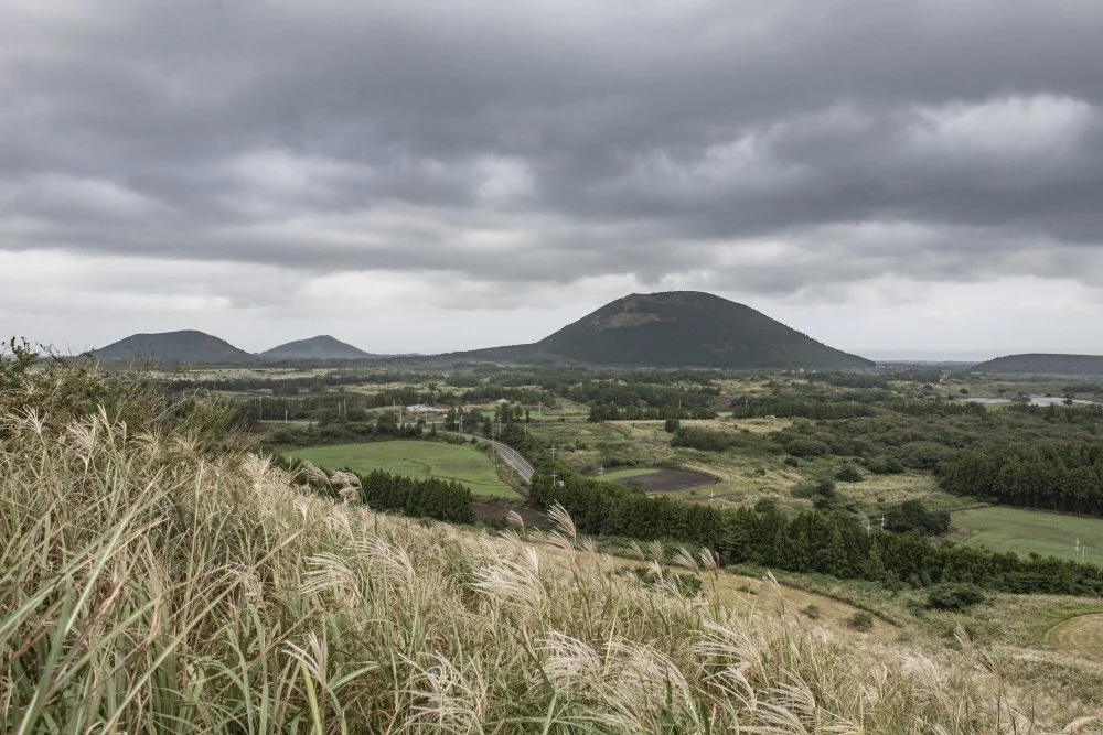 %ED%81%AC%EA%B8%B0%EB%B3%80%ED%99%98%EC%86%90%EC%A7%80%EC%98%A4%EB%A6%84_%284%29.jpg?type=w1200