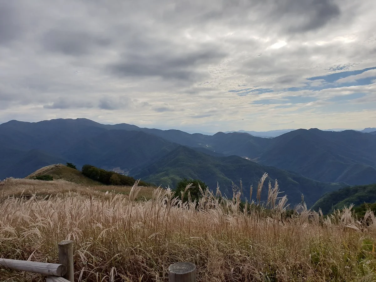 %EC%A0%95%EC%84%A0%EB%AF%BC%EB%91%A5%EC%82%B0%EC%96%B5%EC%83%88%EC%B6%95%EC%A0%9C_%287%29.jpg?type=w1200