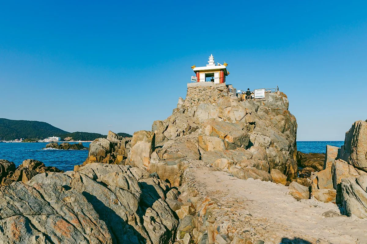 d_%EC%9B%90%EC%95%99%EB%8C%80.jpg?type=w1200