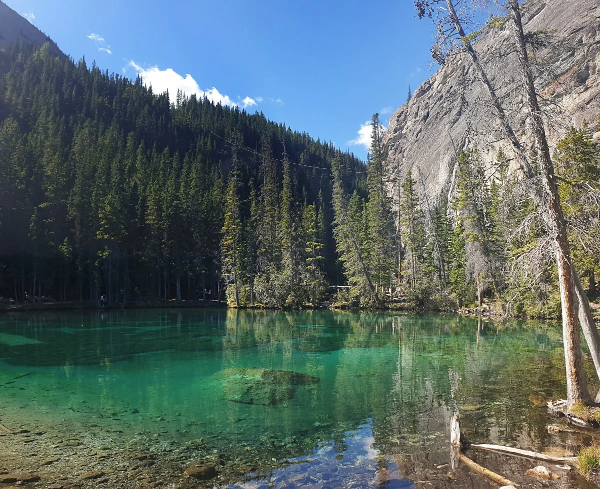 %EC%BA%94%EB%AA%A8%EC%96%B4_%EA%B7%B8%EB%9D%BC%EC%8B%9C_%EB%A0%88%EC%9D%B4%ED%81%AC_3.jpg?type=w1200