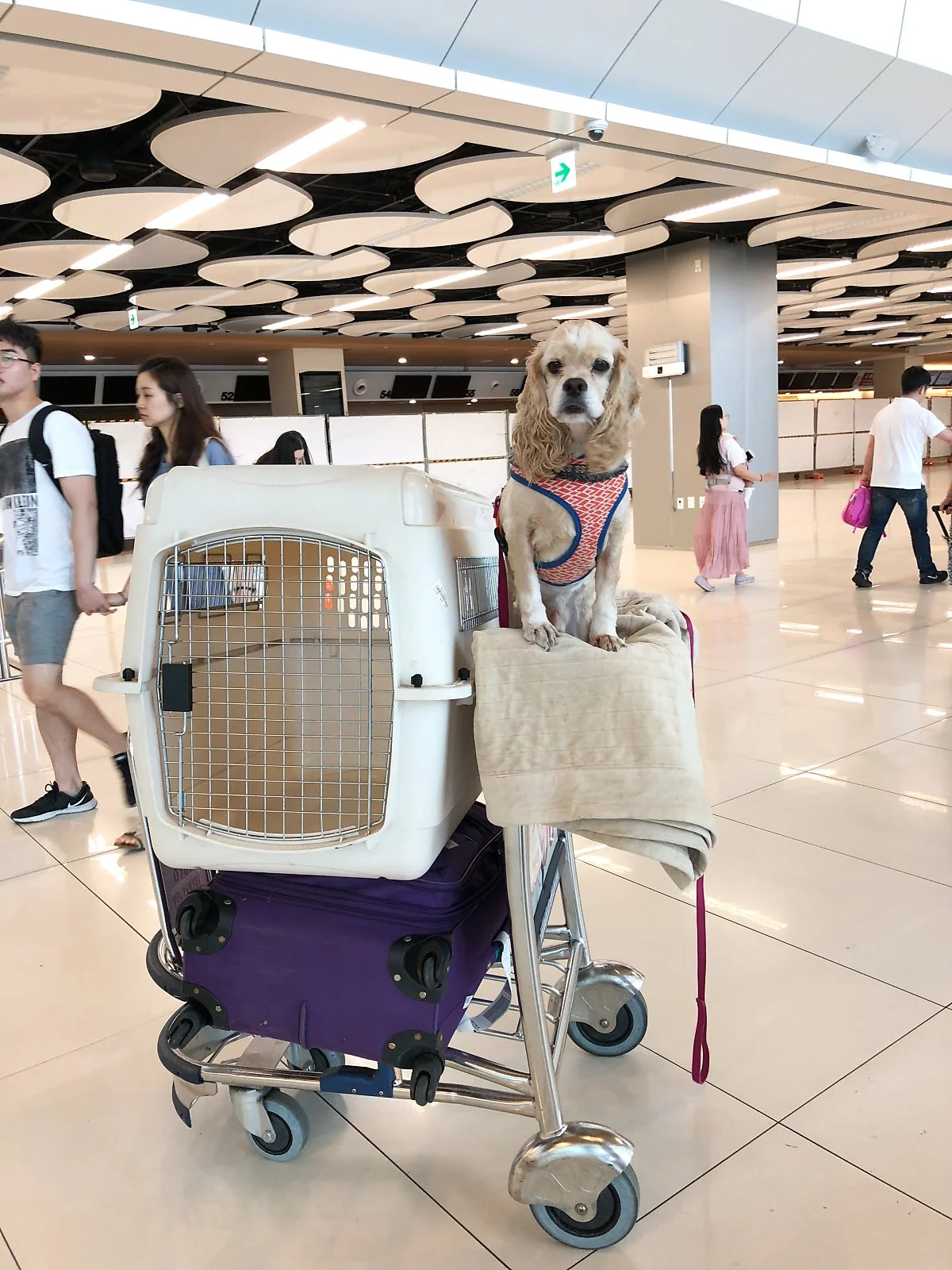 photo_2.jpg?type=w1200