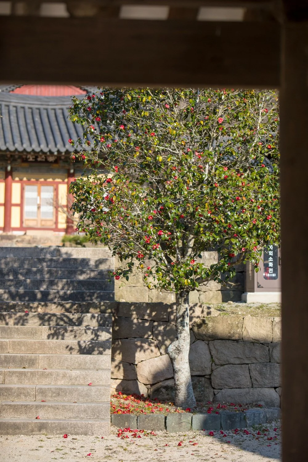 %EC%83%88%EB%B2%BD%EC%98%88%EB%B6%88_%282%29.jpg?type=w1200