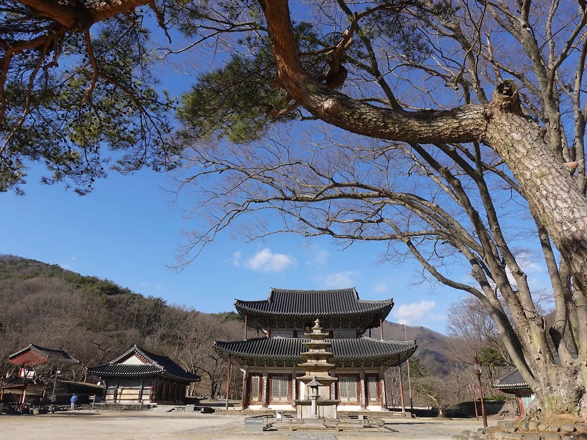 3_%EB%AC%B4%EB%9F%89%EC%82%AC.jpg?type=w1200