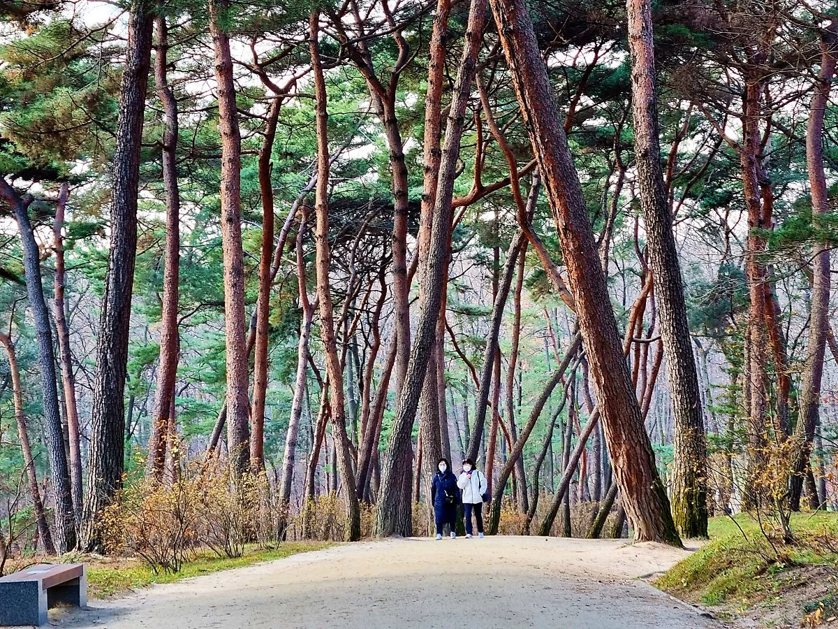 %EC%9C%B5%EA%B1%B4%EB%A6%89_%285%29.jpg?type=w1200