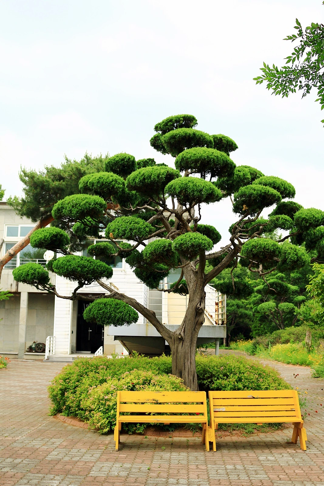 그림이 있는 정원 (3).JPG