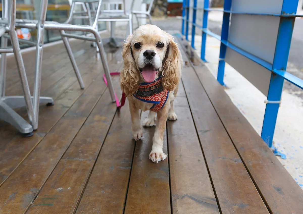 BJ6A2945.jpg?type=w1200