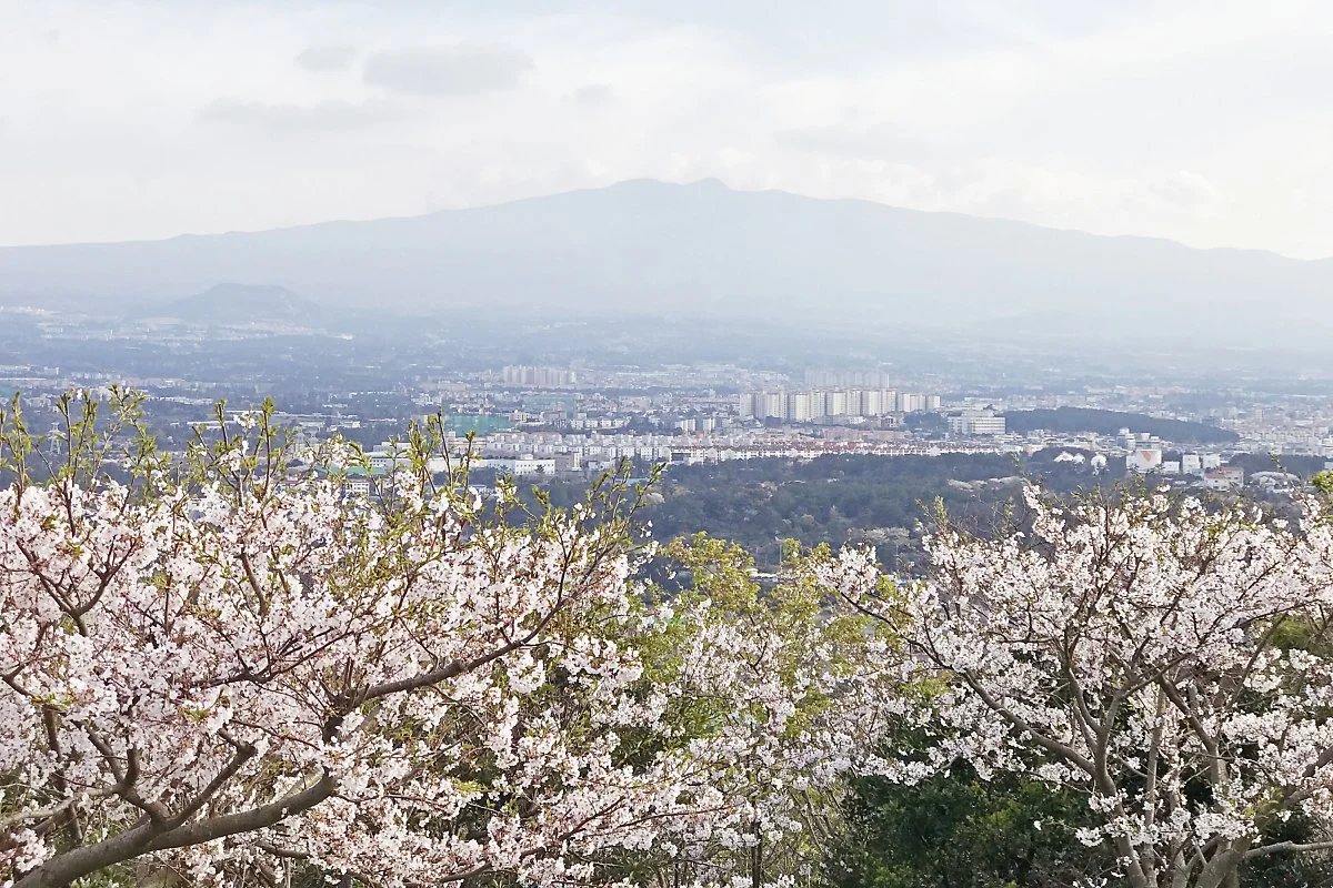 %EB%B3%84%EB%8F%84%EB%B4%89_%282%29.JPG?type=w1200