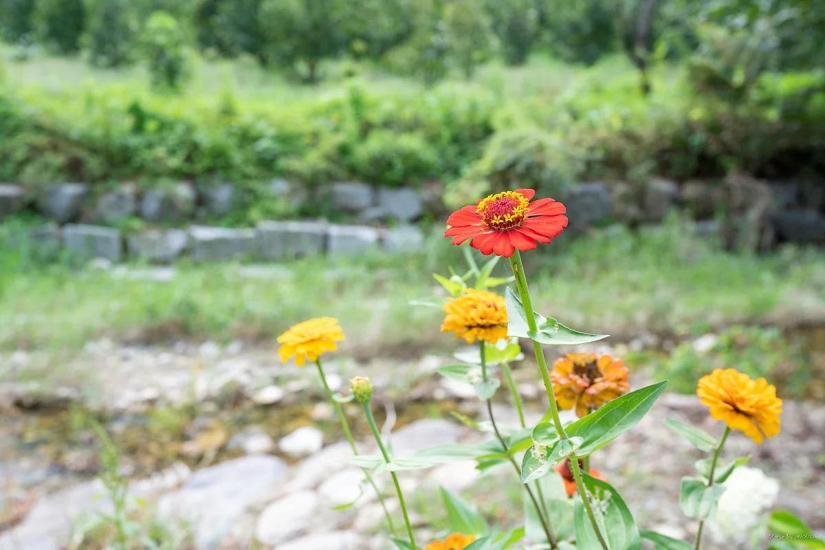 _DSC7919.jpg?type=w1200