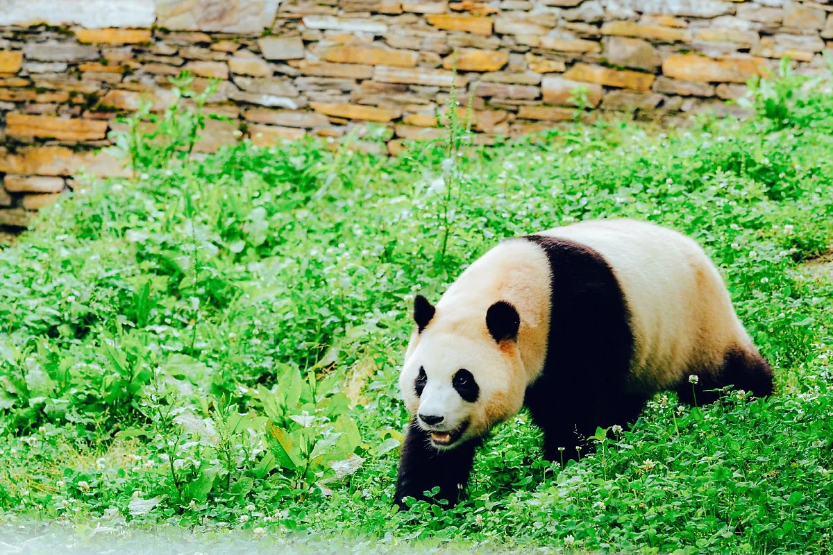 %EB%B3%B4%EC%A0%95%EB%B3%B8-16.jpg?type=w1200