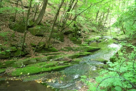 DSC02841.JPG?type=w466