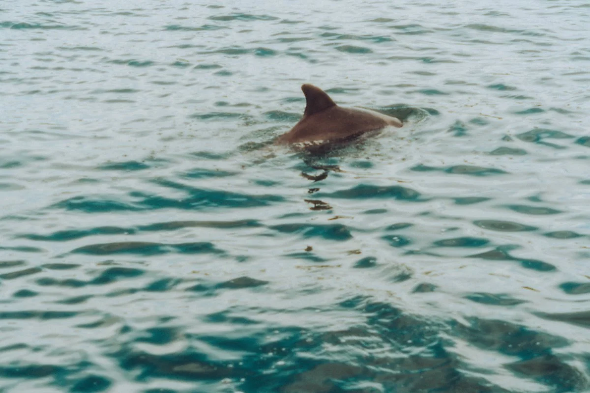 %EB%8F%8C%EA%B3%A0%EB%9E%98_%ED%81%AC%EB%A3%A8%EC%A6%88_%2816%29.jpg?type=w1200