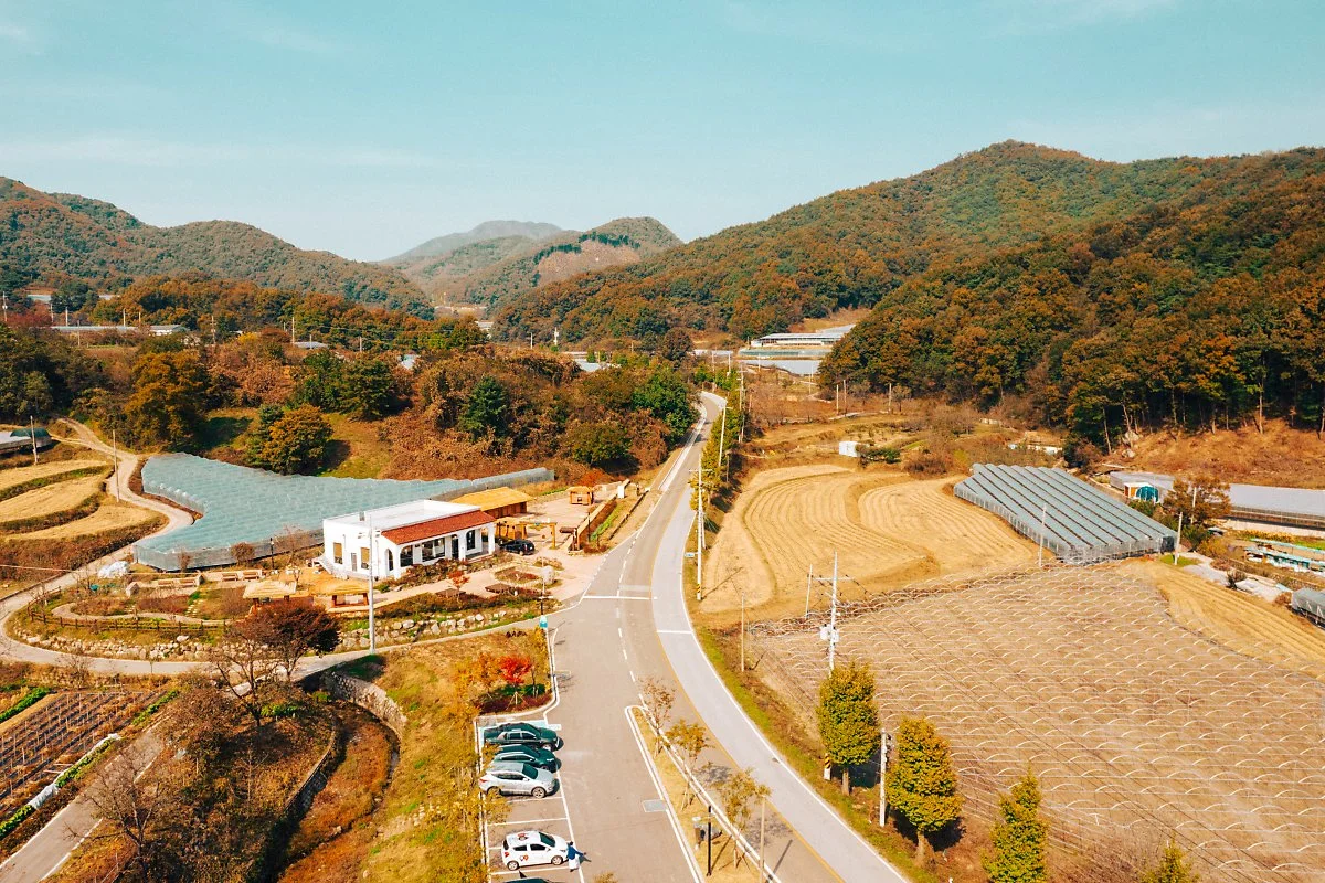 %EA%B4%98%EB%B0%95%EB%A0%B9_%EC%A3%BC%EB%A7%89_%281%29.JPG?type=w1200