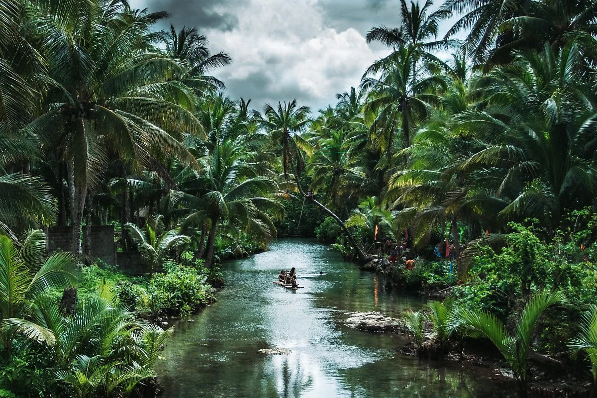 %EC%8B%9C%EC%95%84%EB%A5%B4%EA%B0%80%EC%98%A4.jpg?type=w1200