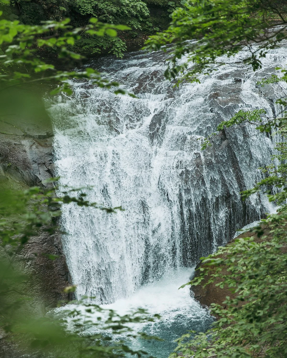 2Y1A5653.jpg?type=w1200