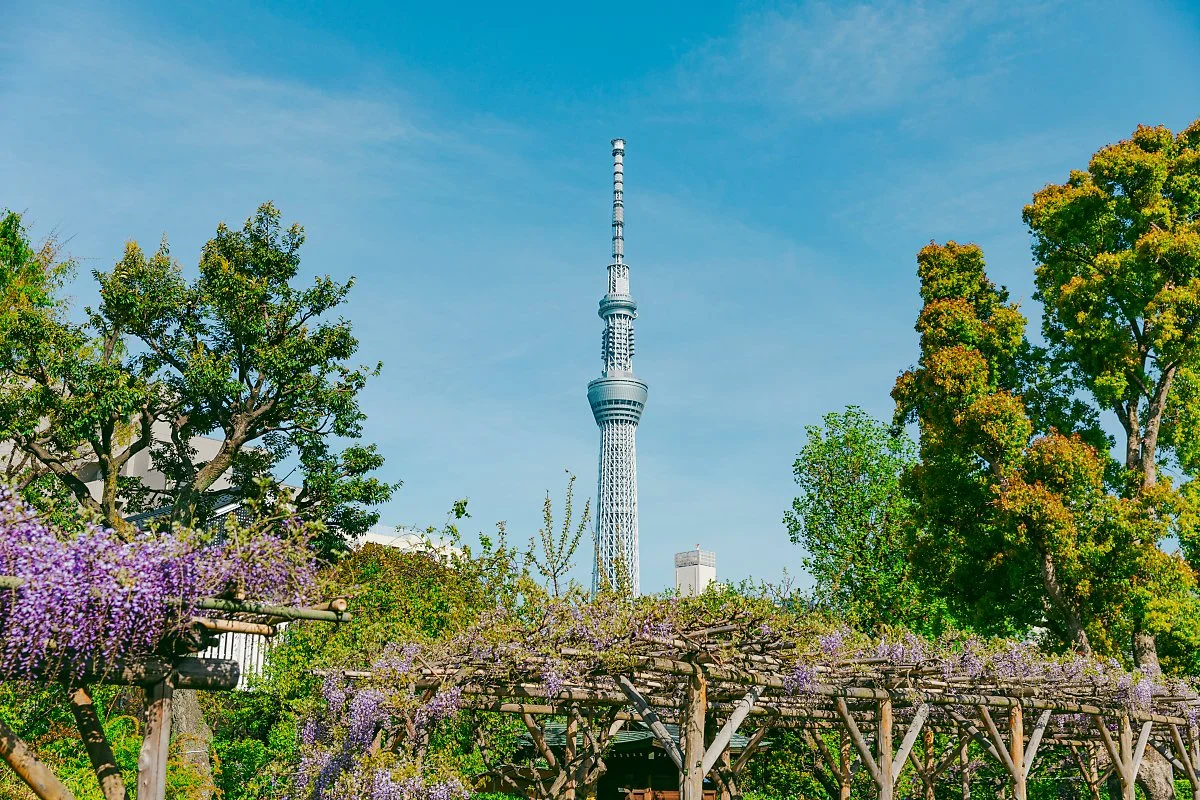 %EB%8F%84%EC%BF%84_%EC%B9%B4%EB%A9%94%EC%9D%B4%EB%8F%84_%ED%85%90%EC%A7%84%EC%83%A4_2.jpg?type=w1200