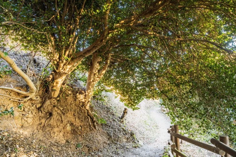 %ED%83%90%EB%B0%A9%EB%A1%9C.jpg?type=w1200