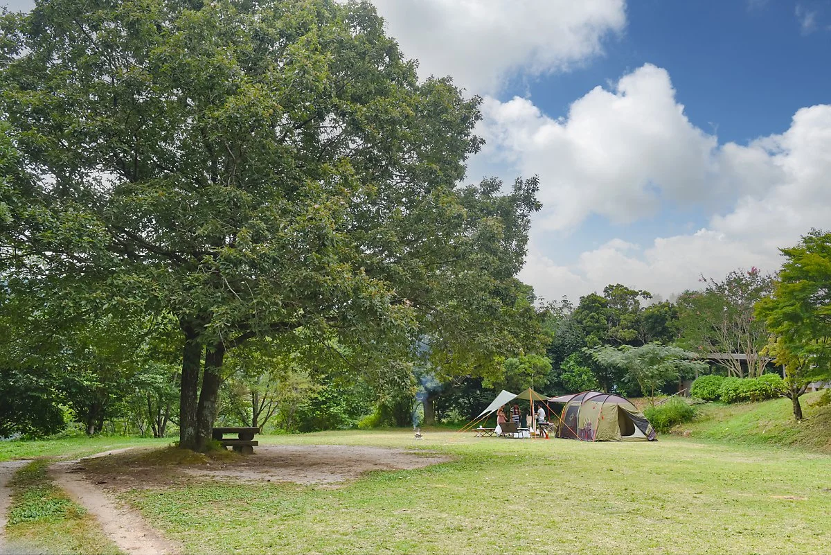 %EC%BA%A0%ED%95%91%EC%9E%A5_%282%29.jpg?type=w1200