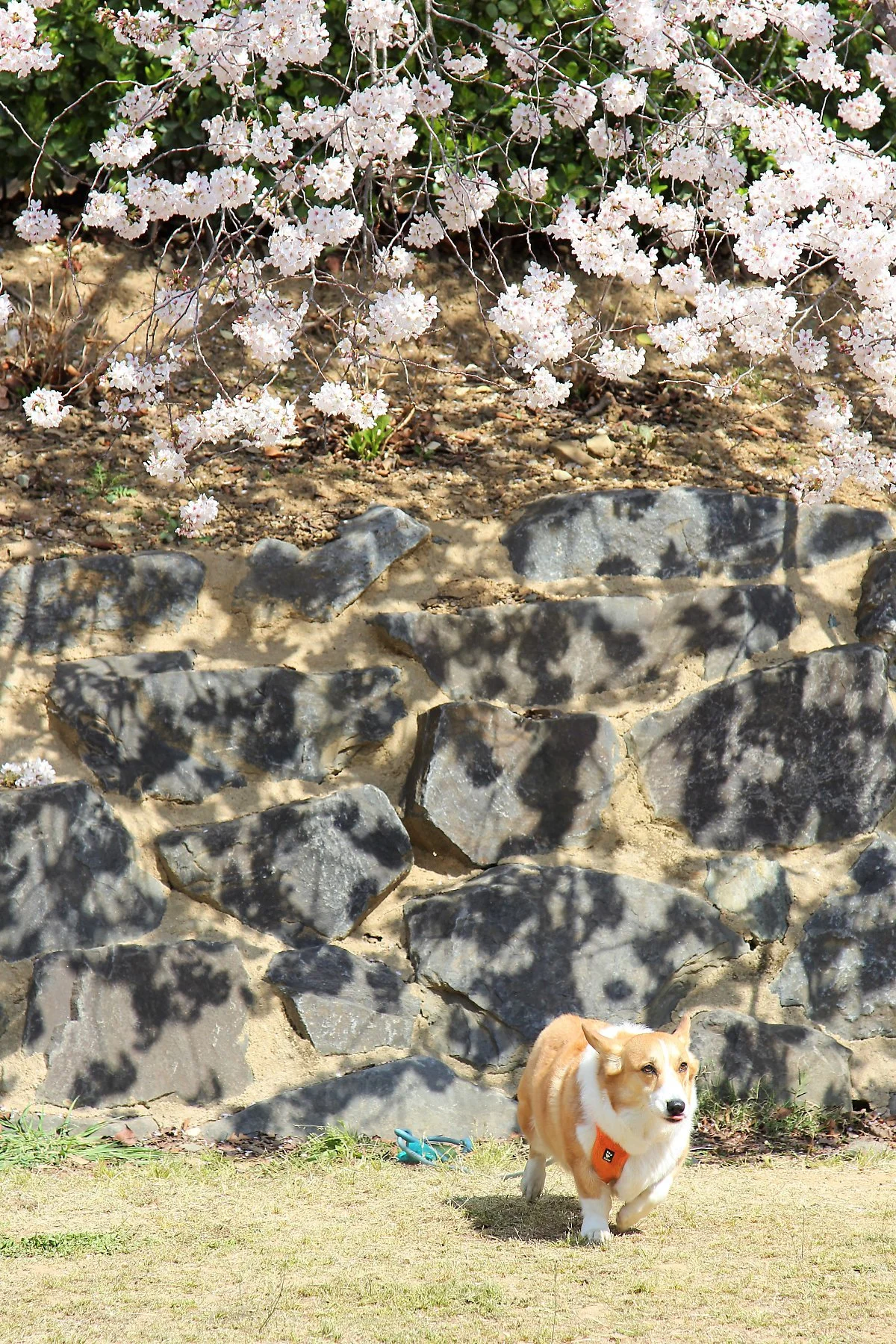 02%EA%B6%81%EA%B1%B0%EB%9E%91_%282%29.JPG?type=w1200