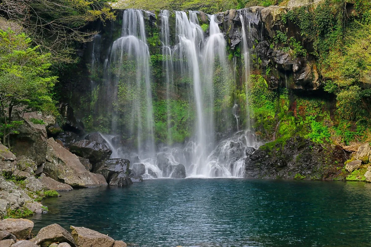 d_%EC%B2%9C%EC%A0%9C%EC%97%AD%ED%8F%AD%ED%8F%AC_2.JPG?type=w1200