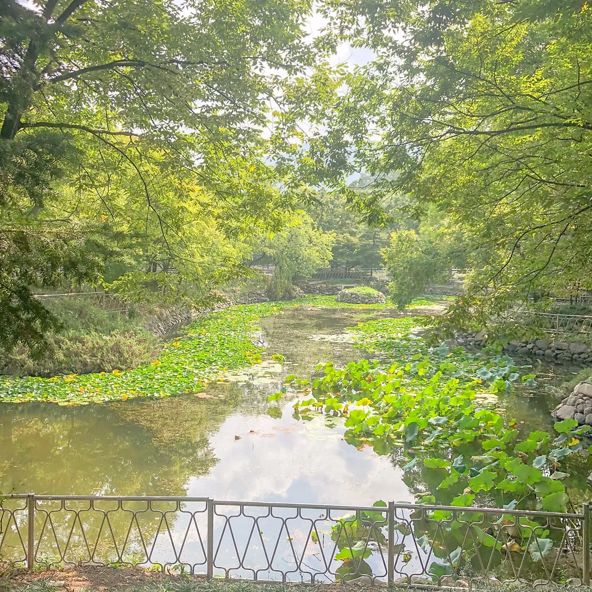 KakaoTalk_20191014_121438047_08.jpg?type=w1200