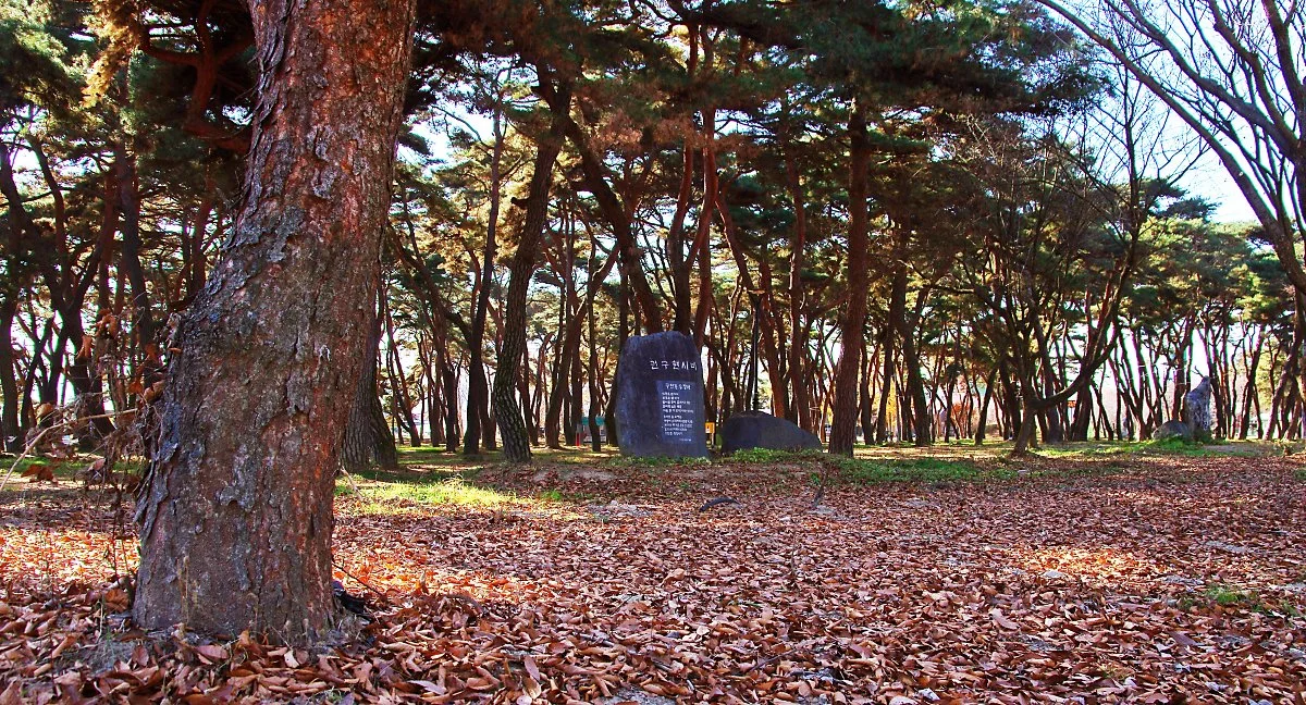 %EC%86%A1%ED%98%B8%EB%A6%AC_%EC%86%A1%EB%A6%BC%EC%97%90_%EC%9E%88%EB%8A%94_%EA%B6%8C%EA%B5%AC%ED%98%84_%EC%8B%9C%EB%B9%84.JPG?type=w1200