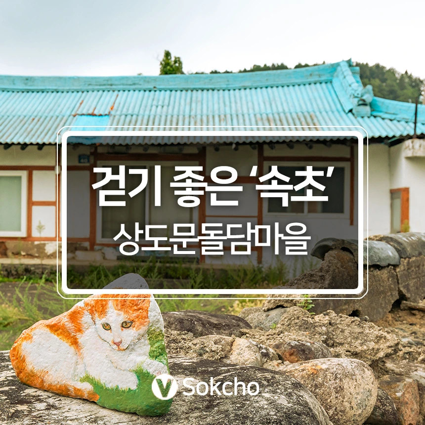 %EC%86%8D%EC%B4%88.jpg?type=w966