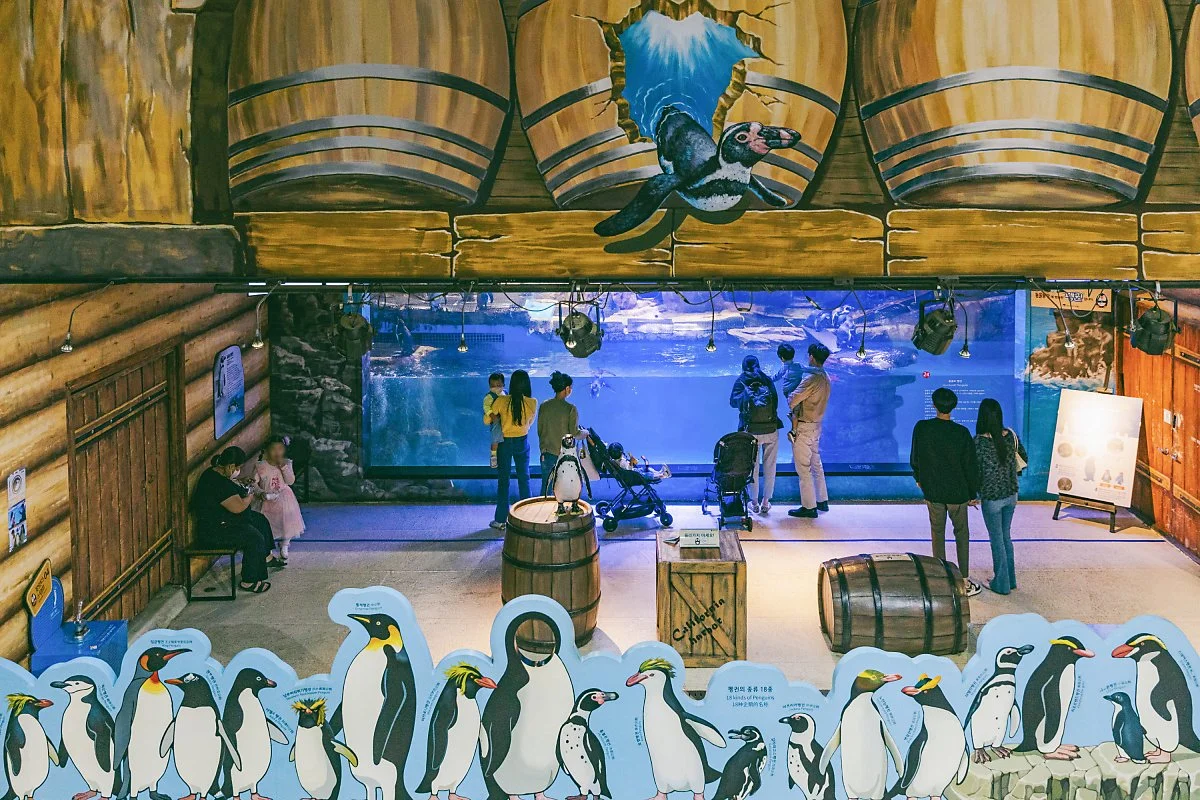 %ED%81%AC%EA%B8%B0%EB%B3%80%ED%99%98%EB%8C%80%EA%B5%AC%EC%95%84%EC%BF%A0%EC%95%84%EB%A6%AC%EC%9B%80%282%29.jpg?type=w1200