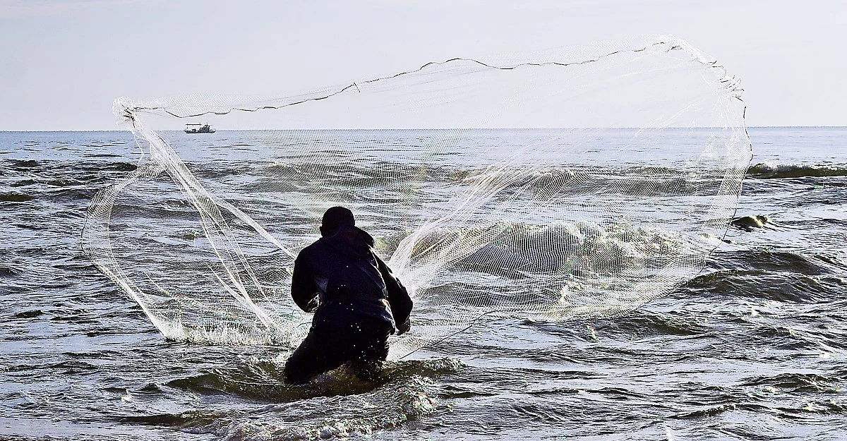 %EC%96%91%EC%96%91_%EB%82%99%EC%82%B0_%EB%B0%94%EB%8B%A4._%EB%82%A8%EB%8C%80%EC%B2%9C%EA%B3%BC_%EB%8F%99%ED%95%B4%EA%B0%80_%EB%A7%8C%EB%82%98%EB%8A%94_%ED%95%A9%EC%88%98%EC%A7%80%EC%A0%90%EC%97%90%EC%84%9C_%EB%88%84%EA%B5%B0%EA%B0%80_%ED%88%AC%EB%A7%9D.JPG?type=w1200