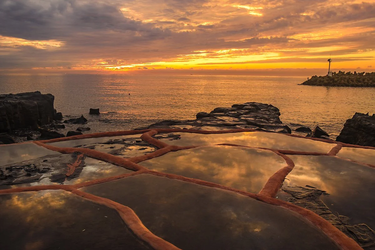 %EA%B5%AC%EC%97%84%ED%8F%AC%EA%B5%AC_%281%29.jpg?type=w1200