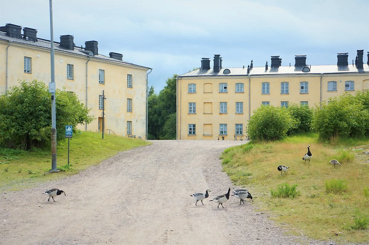 %EC%88%98%EC%98%A4%EB%A9%98%EB%A6%B0%EB%82%98_%EC%9A%94%EC%83%88_%284%29.JPG?type=w1200