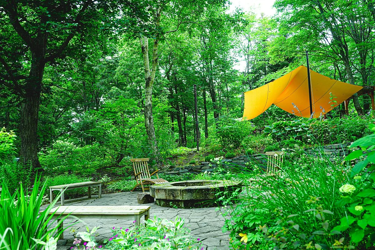 %EB%AA%A8%EB%A6%AC%EB%85%B8_%EA%B0%80%EB%93%A0_%2818%29_-_%EC%B6%94%EC%B2%9C.jpg?type=w1200