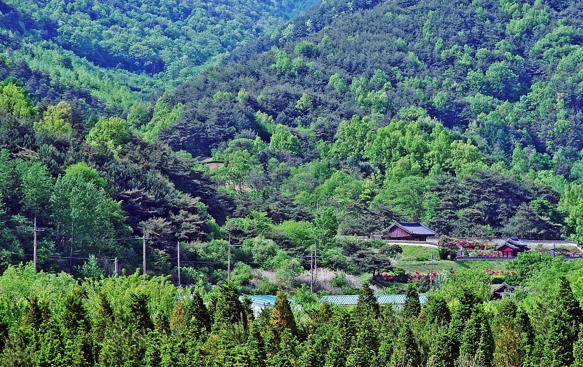 %EB%9E%8C%EC%B2%9C%EC%A0%95%EC%9D%84_%EC%A7%80%EB%82%98_%EB%86%8D%EC%9B%94%EC%A0%95%EC%9C%BC%EB%A1%9C_%EA%B0%80%EB%8A%94_%EA%B8%B8%EC%97%90%EC%84%9C_%EB%B3%B8_%ED%92%8D%EA%B2%BD._%ED%99%A9%EC%84%9D%EC%82%B0_%EA%B8%B0%EC%8A%AD_%ED%91%B8%EB%A5%B8_.JPG?type=w1200