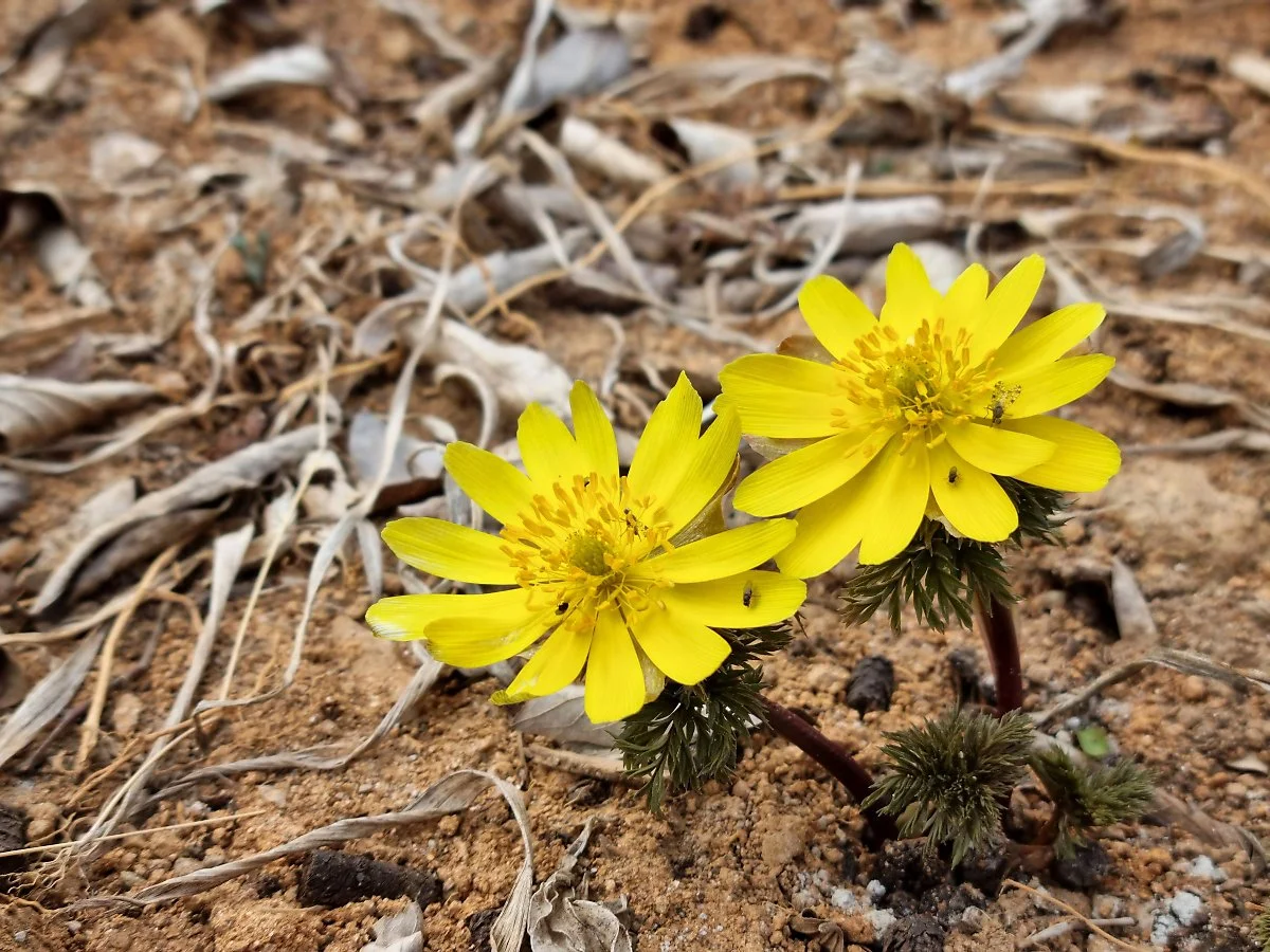 02%EB%B0%94%EB%8B%A4%ED%96%A5%EA%B8%B0_%EC%88%98%EB%AA%A9%EC%9B%90_%282%29.jpg?type=w1200