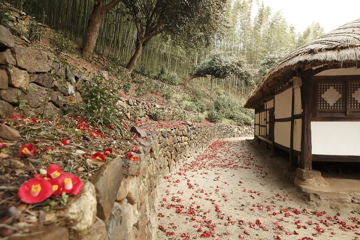 %EC%98%81%EB%9E%91%EC%83%9D%EA%B0%80_1.JPG?type=w1200